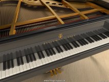 Steinway_Master_5