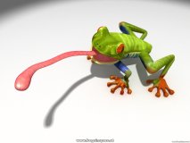 frog2